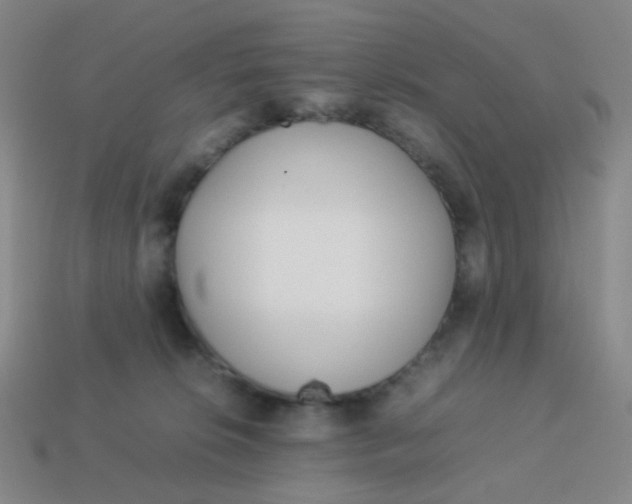 X0000113540276200910091250