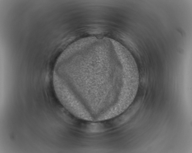 X0000113540277200910091250
