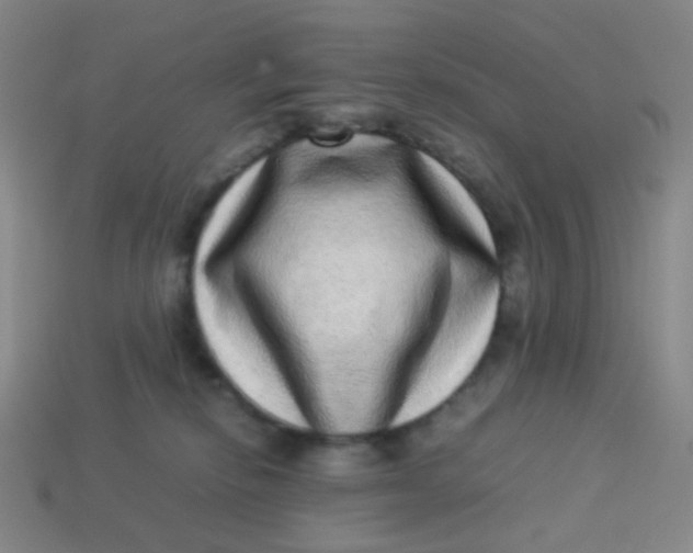 X0000113540278200910091250