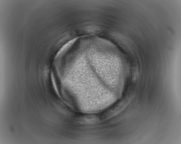 X0000113540279200910091250