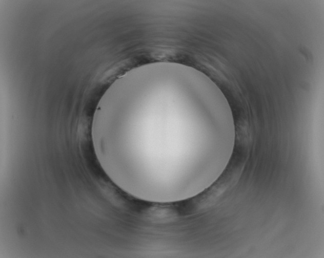 X0000113540280200910091250