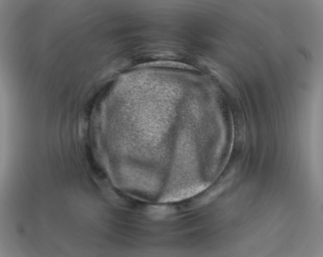 X0000113540281200910091250