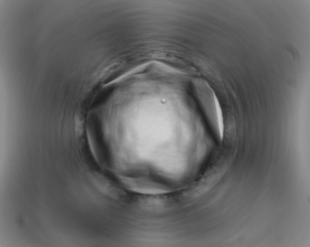 X0000113540282200910091250