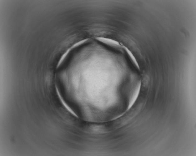 X0000113540283200910091250