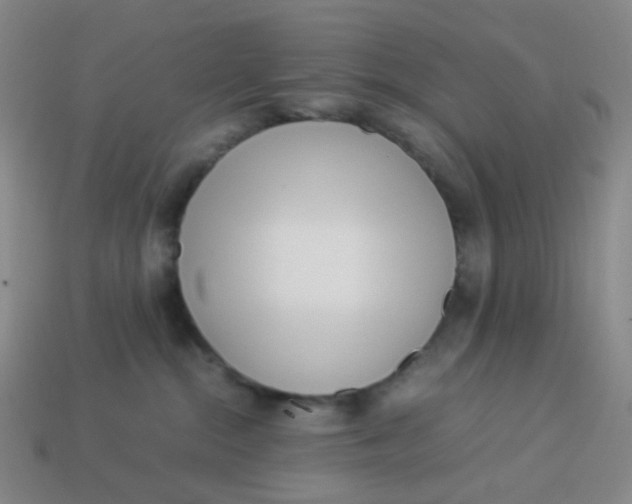 X0000113540284200910091250