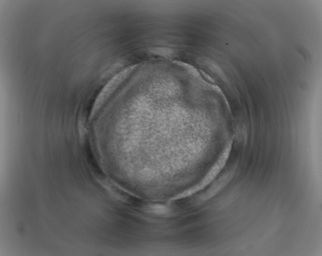 X0000113540285200910091250