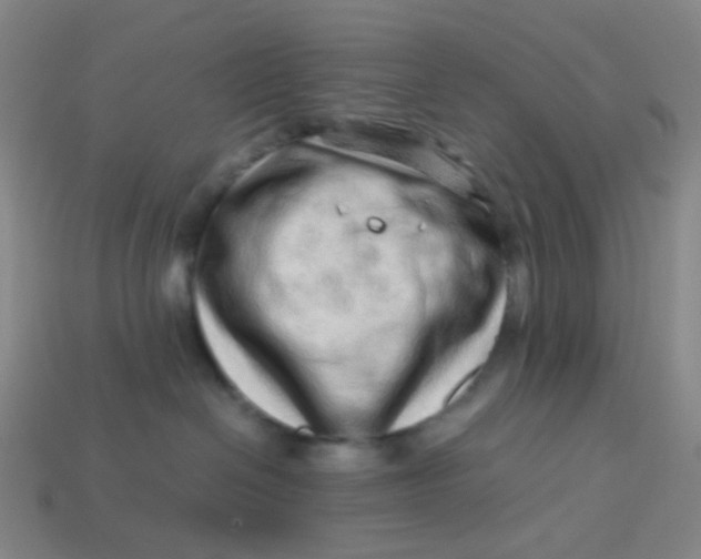 X0000113540286200910091250