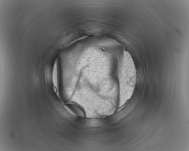 X0000113540287200910091250