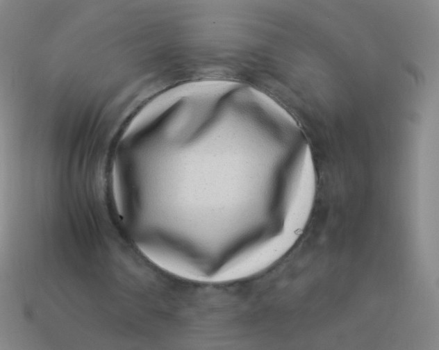 X0000113540290200910091249
