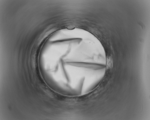 X0000113540291200910091249