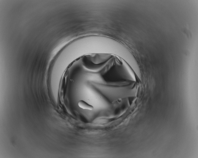 X0000113540292200910091249