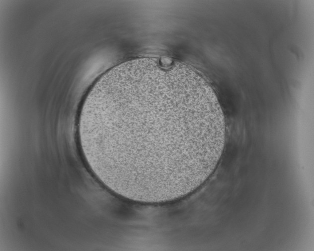 X0000113540293200910091249