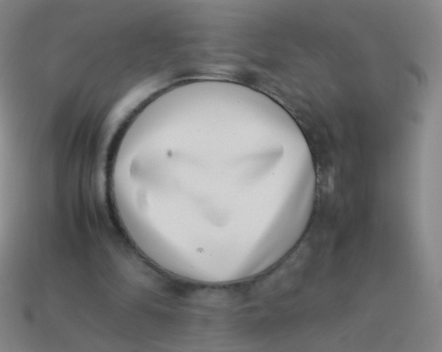 X0000113540294200910091249