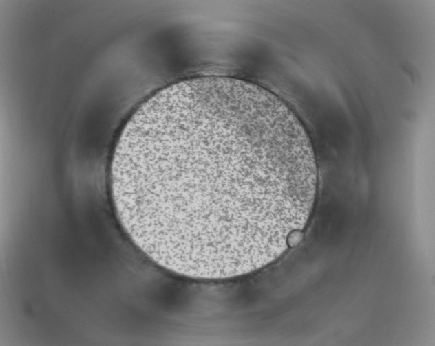 X0000113540297200910091249