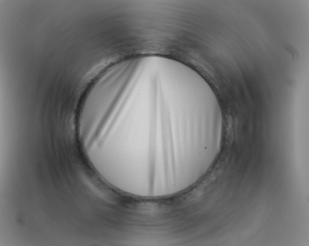 X0000113540298200910091249