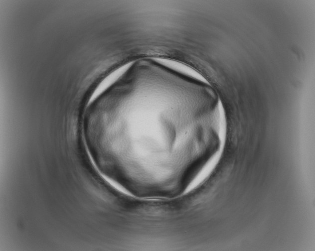 X0000113540299200910091249
