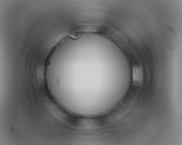X0000113540300200910091249