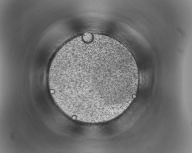 X0000113540301200910091249