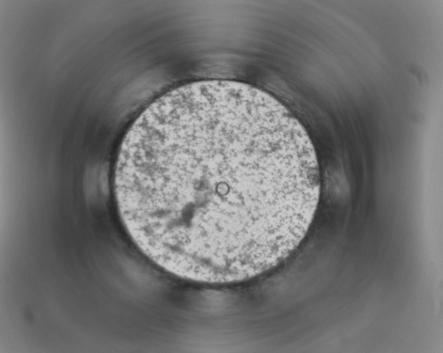 X0000113540302200910091249