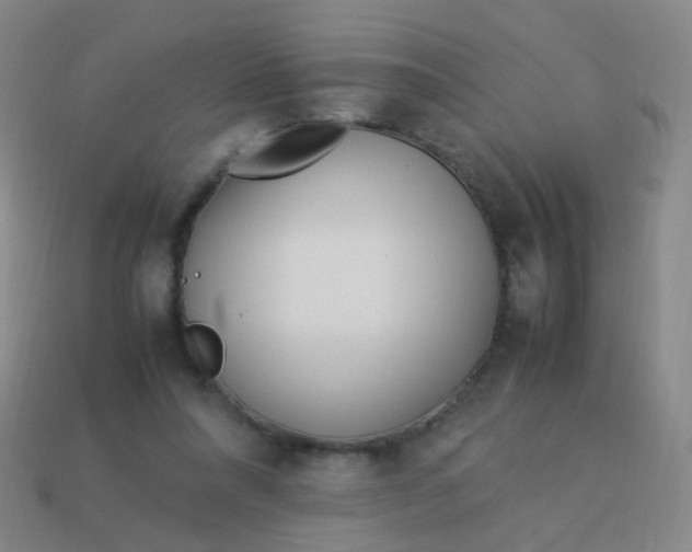 X0000113540304200910091249