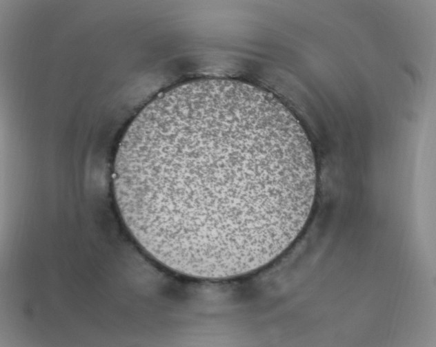 X0000113540305200910091249