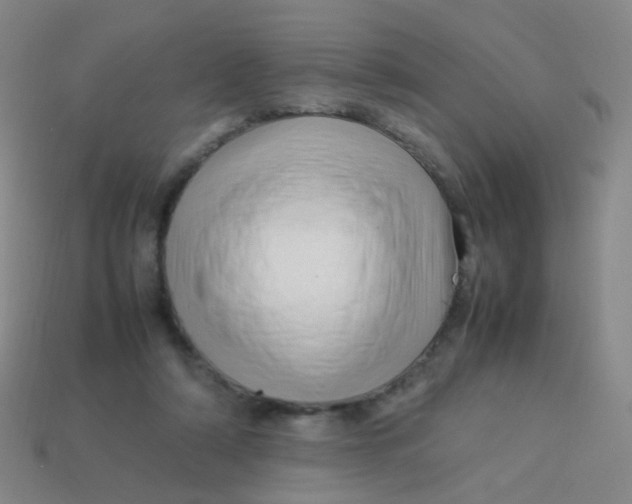 X0000113540306200910091249