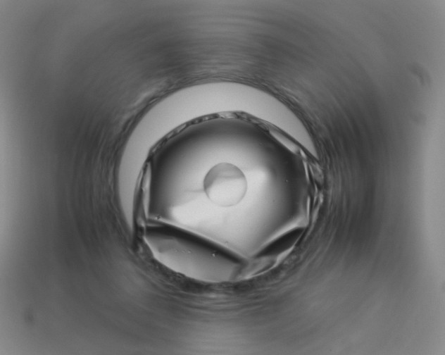 X0000113540308200910091249