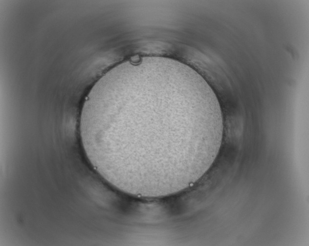 X0000113540309200910091249
