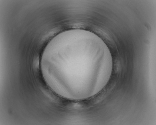 X0000113540310200910091249