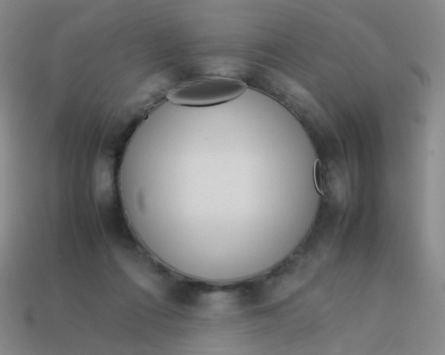 X0000113540312200910091249