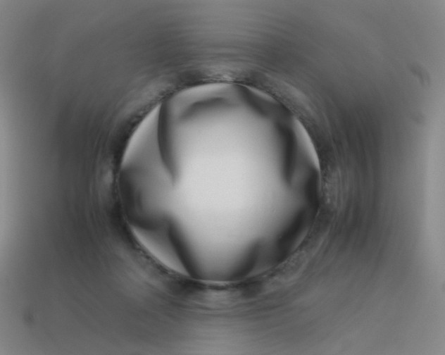 X0000113540314200910091249