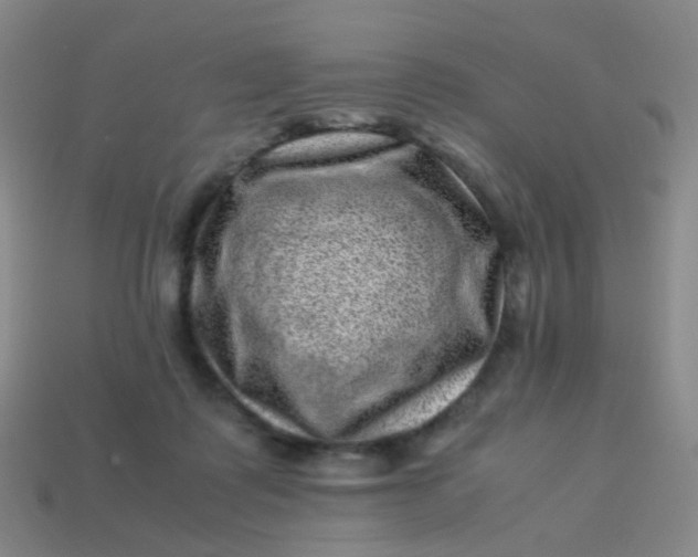 X0000113540315200910091249