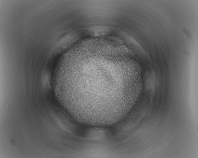 X0000113540316200910091249