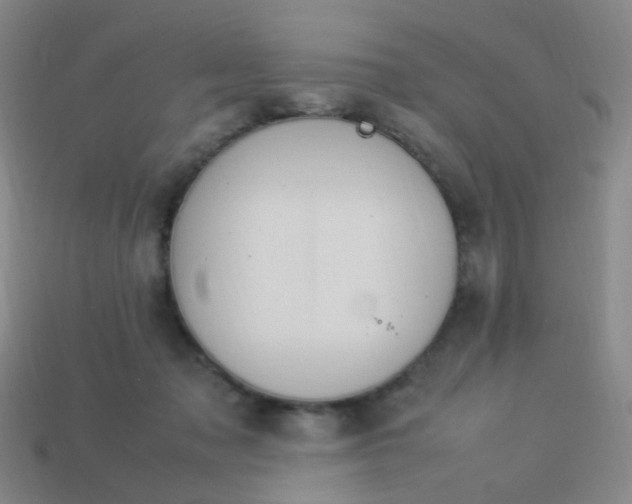 X0000113540317200910091249