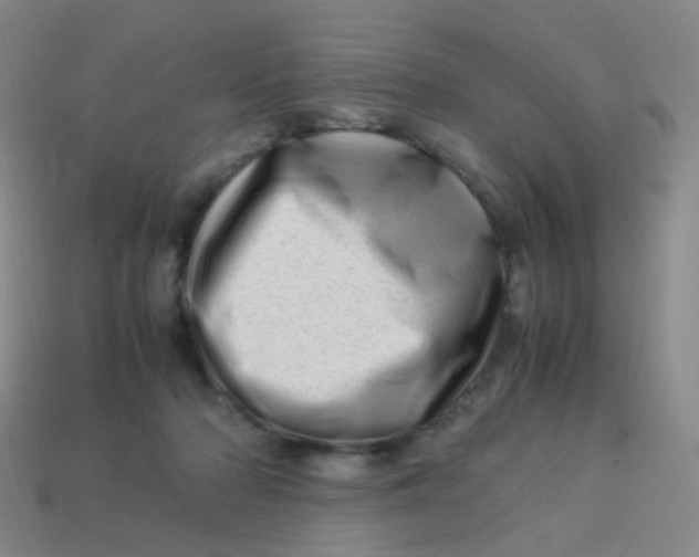 X0000113540318200910091249
