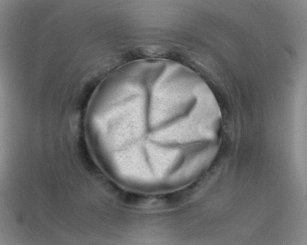 X0000113540319200910091249