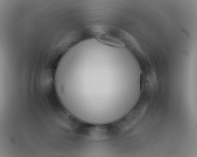 X0000113540320200910091249