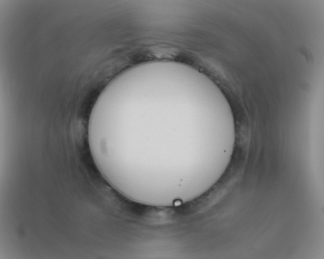 X0000113540321200910091249
