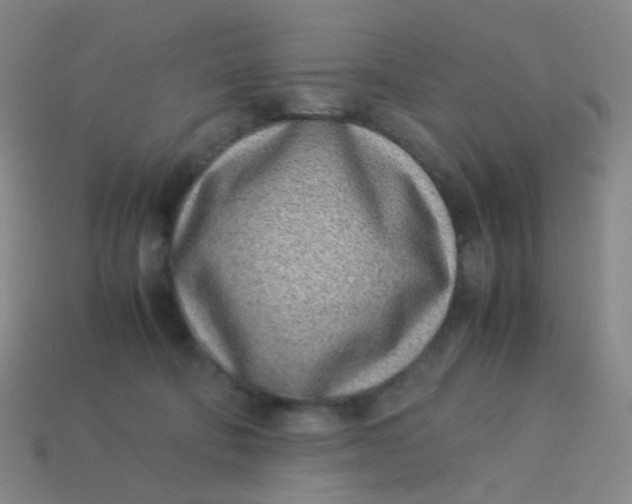 X0000113540322200910091249