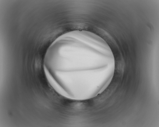 X0000113540326200910091249