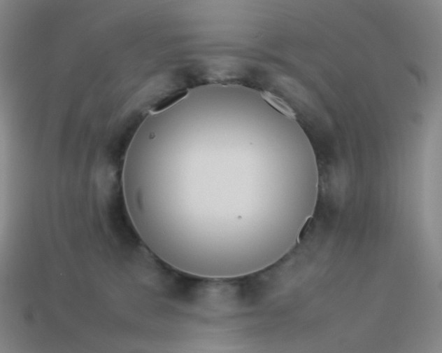 X0000113540327200910091249