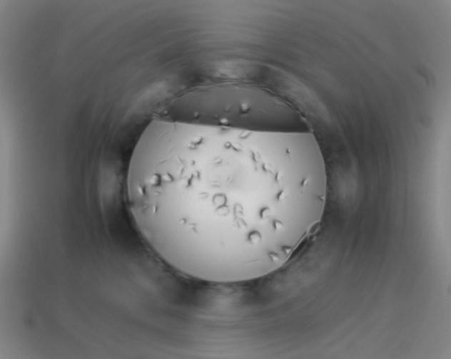 X0000113540328200910091249