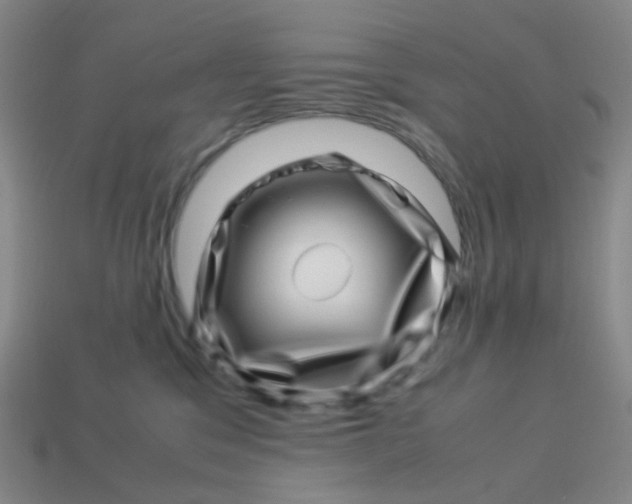 X0000113540329200910091249