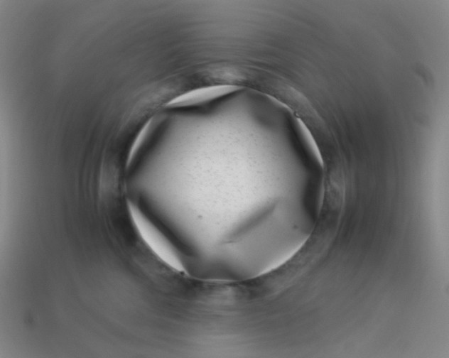 X0000113540330200910091249