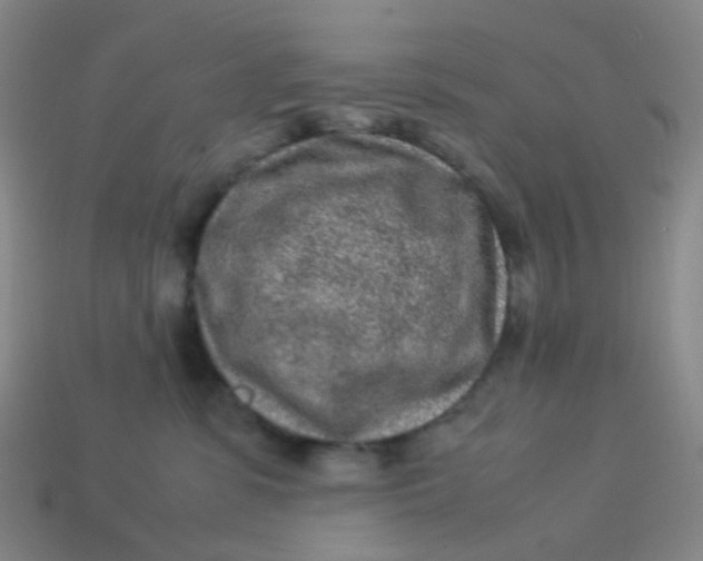 X0000113540331200910091249