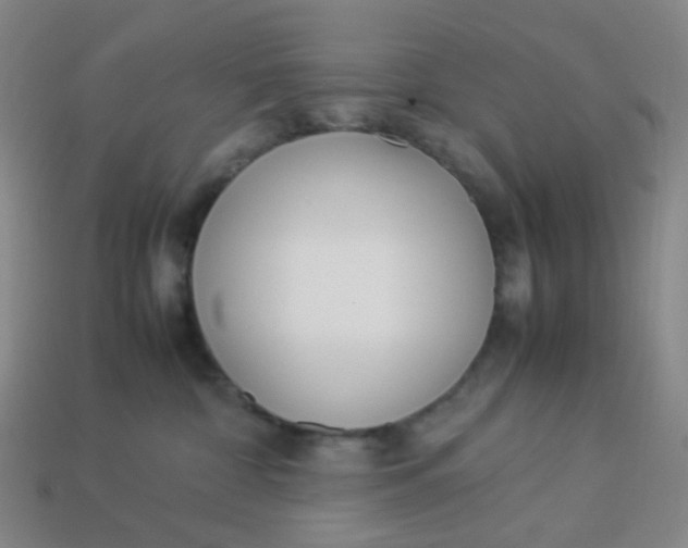 X0000113540332200910091249