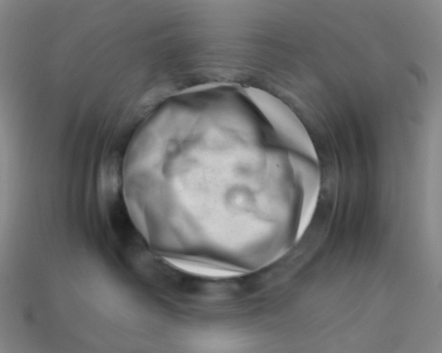 X0000113540334200910091249