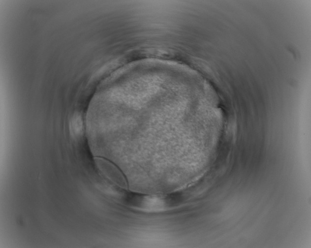 X0000113540335200910091249
