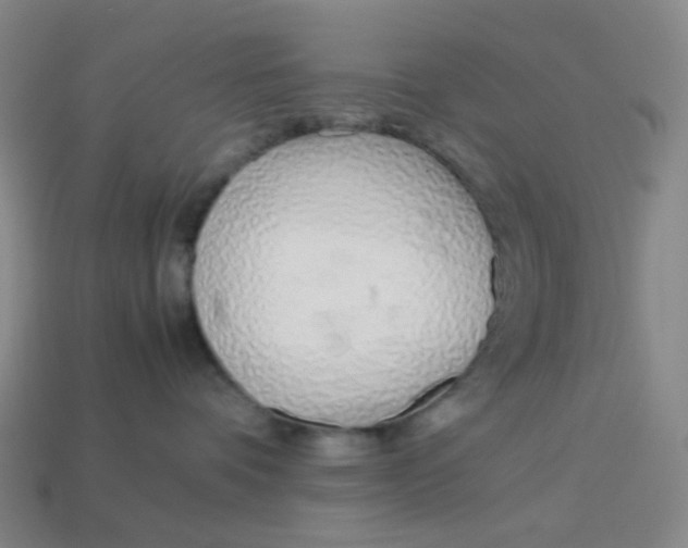 X0000113540336200910091249