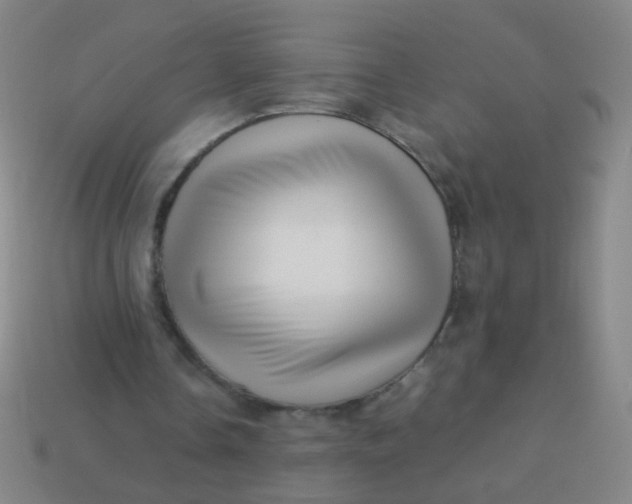 X0000113540338200910091248